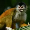 Image of Nature and Wildlife Tours
