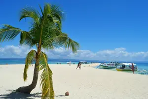 Tour image of Kalanggaman Island Day Tour Package from Cebu City or Mactan