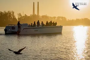 Tour image of Elkhorn Slough Wildlife Tour