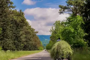 Tour image of Quba, Gabala and Shaki, 2 days on each city, price for 2 person