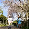 Image of Running Tours
