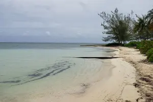 Tour image of Half-Day Private Stingray City Charter in Cayman Islands