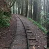 Image of Hiking Tours