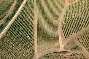 Tour image of Sancerre Private Wine Tour with 10 Tastings and Lunch from Paris