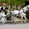 Image of Horseback Riding