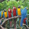 Image of Nature and Wildlife Tours
