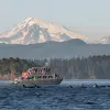 Image of Sightseeing Cruises