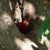 Image of Nature Walks