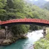 Image of Nature and Wildlife Tours
