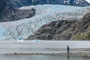 Tour image of Mendenhall Glacier Visitor Center and Ultimate Whale Watch Combo