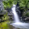 Image of Eco Tours