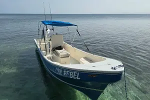 Tour image of Reef Fishing Tour Trolling and Drop Fishing Trip from Hopkins