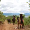 Image of Pack Animal Tours
