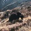 Image of Nature Walks