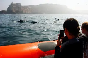Image of Portugal