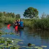 Image of Kayaking Tours