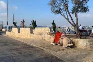 Tour image of Explore Jerusalem's Old City
