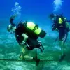 Image of Kayaking Tours