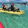 Image of Kayaking Tours
