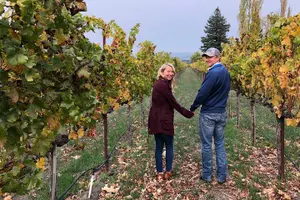 Tour image of 8-Hour Private Wine Tour Experience for up to 6 Guests - San Francisco to Sonoma