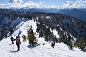 Tour image of Hurricane Ridge Guided Snowshoe Tour in Olympic National Park