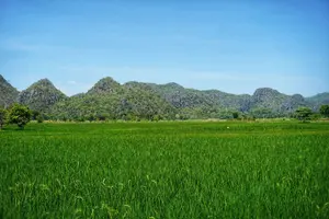 Tour image of Half Day Kanchanaburi Bike Tour with History and Local Life
