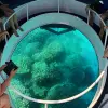 Image of Glass Bottom Boat Tours