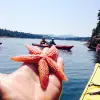 Image of Kayaking Tours