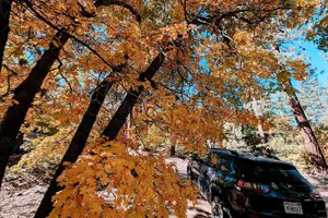 Tour image of Big Bear Lake Jeep Tour with Light Lunch