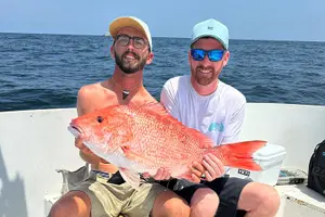 Tour image of Island Head 4 Hours Fishing Charter
