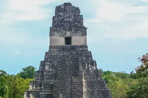 Tour image of Tikal Maya Temple tour from San Ignacio with sit down lunch