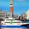 Image of Catamaran Cruises