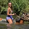Image of Pack Animal Tours