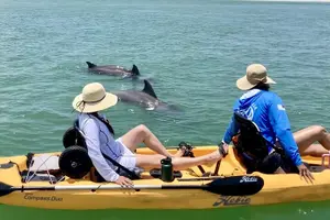 Tour image of Exclusive Relax & Explore Pedal Kayak Tour Marco Island & Naples