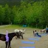 Image of Fitness Classes