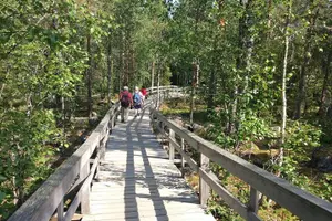 Tour image of Full Day Lapland Tour, including Lunch and Dinner