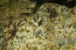 Tour image of Cave Tour in Terceira