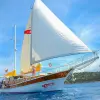 Image of Multi-day Cruises