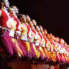Image of Shows