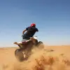 Image of Camel Rides