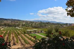 Tour image of Private Temecula Excursion from Anaheim, Irvine, Newport Beach