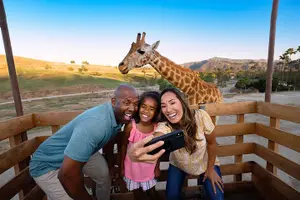 Tour image of San Diego Zoo Safari Park 1-Day Pass: Any Day Ticket