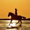 Image of Horseback Riding