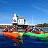 Image of Kayaking Tours