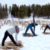 Image of Yoga Classes