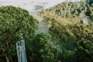 Tour image of Full Day Trip of Brunei Ulu Temburong National Park including Canopy Walk
