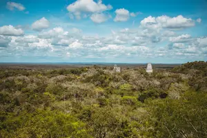 Tour image of Tikal National Park Full-Day Guided Tour from Flores
