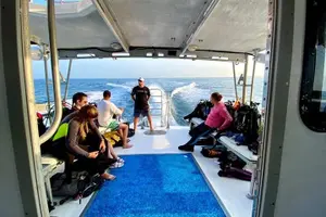 Tour image of Wreck and Bridge Span Dive for Certified Divers