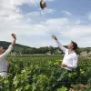 Image of Wine Tours