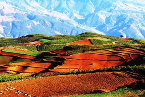Tour image of Two Days Colorful Private Tour from Kunming to Dongchuan Red Land
